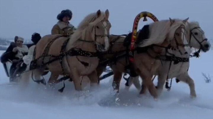 We’ve kept the original audio so you can immerse yourself in the Russian atmosphere too.