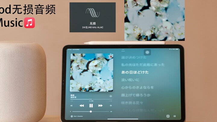 Chinese and Japanese lyrics SPY×FAMILY ED Comedy-Hoshino Gen HomePod plays Apple Music lossless audi