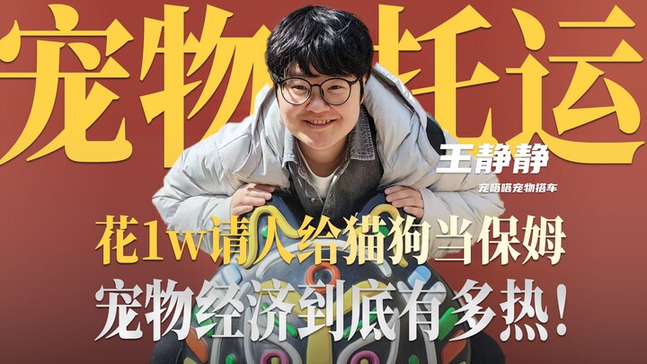 Spending 10K to hire a pet sitter for cats and dogs, treating a 15-RMB hamster to first-class travel