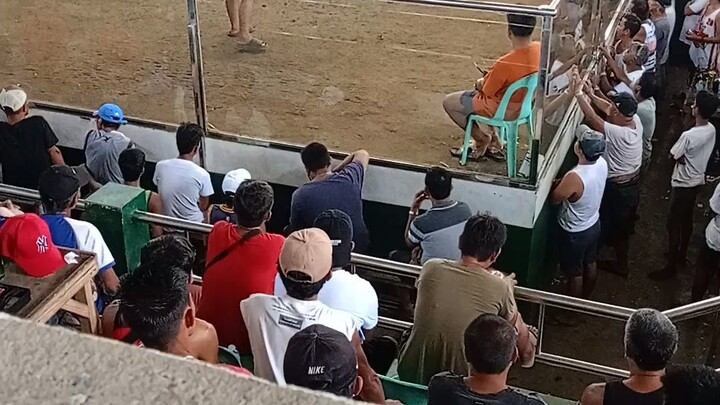 mount banahaw sbr : LOSS