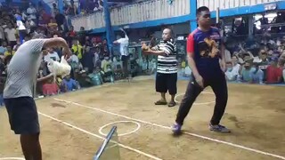 Gulapa Bros white kelso MCA