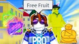 The Roblox Blox Fruits Experience 14