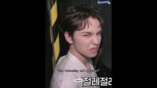 vernon's reaction when hoshi said that his name is really cool 😭😂 #seventeen #vernon #hoshi