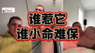 佛罗里达最吓人的狗！你绝对要见识一下！