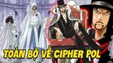 Tất Tần Tật về Cipher Pol | One Piece