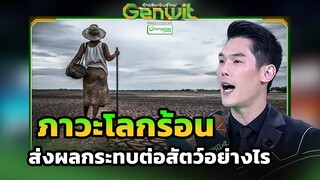 ภาวะโลกร้อน ส่งผลกระทบต่อสัตว์อย่างไร  | Genwit อัจฉริยะพันธุ์ใหม่