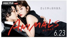 SP- Animal Sub indo Eps 1