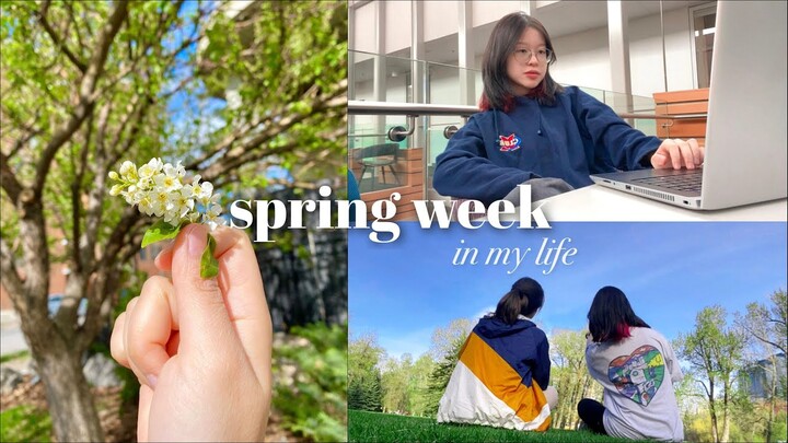 A WEEK IN MY LIFE | MỘT TUẦN CỦA DU HỌC SINH CANADA (khi xuân về vẫn tuyết) | Du học Canada | mngann