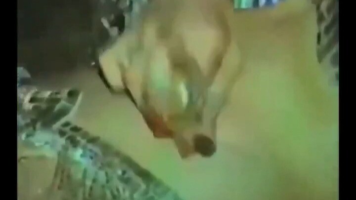 Màn trình diễn kiểm soát cơ bắp cực chuẩn của nữ vũ công múa bụng – dùng cơ bụng lật đồng xu! Quá xu