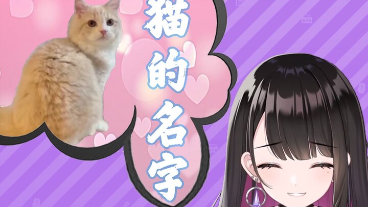 【B限切片】梦与猫猫【恋乃夜舞】