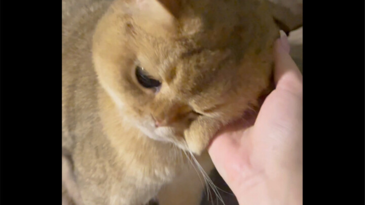 It's been a day since we've cuddled, baby feels so wronged.