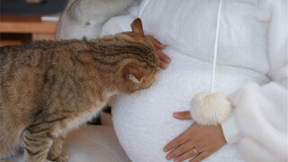 Because I insisted on keeping my cat after becoming pregnant, I've been attacked by many people.