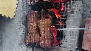 Săn ổ chuột khủng ngày mưa rét và bữa cơm tối muộn của hai vợ chồng người miền Bắc/tt132