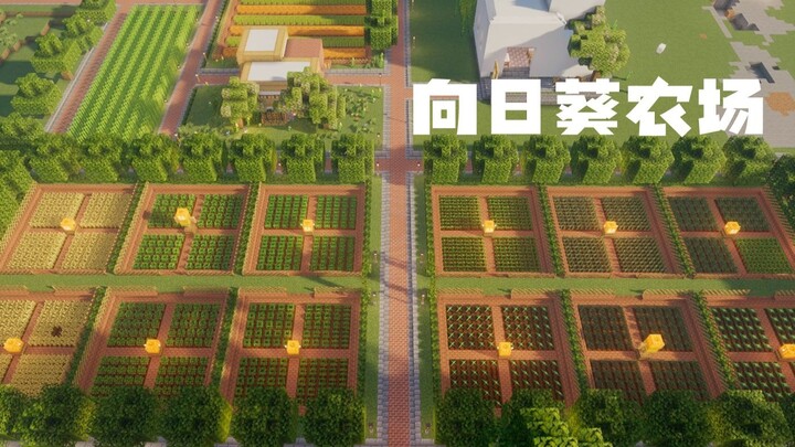 A cozy vegetable garden for OCD sufferers! Cultivate your own garden on Sunflower Plains | Gourmet S