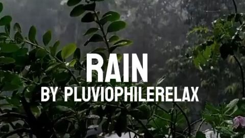hujan menenangkan dengan musik jazz #hujan #pluviophilerelax #jazz
