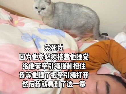 猫猫也怕强制爱