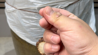 Bau? Kecelakaan? Tidak mungkin!