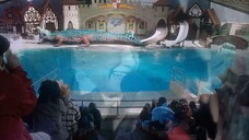 Dino Dan Trek's adventures marine reptiles episode HDTV