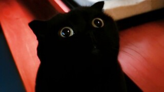 Here comes the nightlife of Qian Sui Sui that you’ve been waiting for!