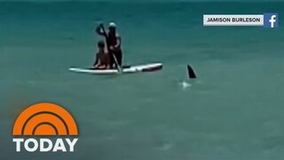 3 people injured in 2 shark attacks at neighboring Florida beaches