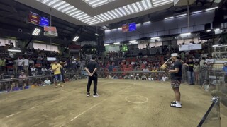 7x budol dome