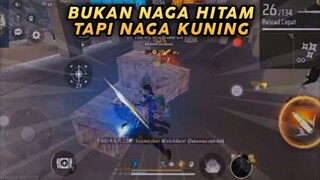 Push Rank Cs Pakai Set Bundle Naga Kuning 🐉💛