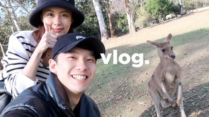 ในที่สุดก็ได้กอดลูกโคอาลาแล้ว 🐨 น่ารักจนใจฟูสุดๆ! วันแห่งชีวิตสโลว์ไลฟ์ ครัวส่วนตัวของริโกะเปิดให้บร