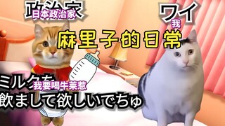 [Cooked Meat] Mariko Asked to Play House | Cat Meme