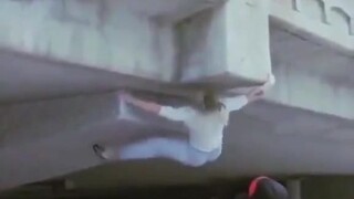 هل يمكنك التسلق هكذا؟ حتى الوزغات ستُعجب.