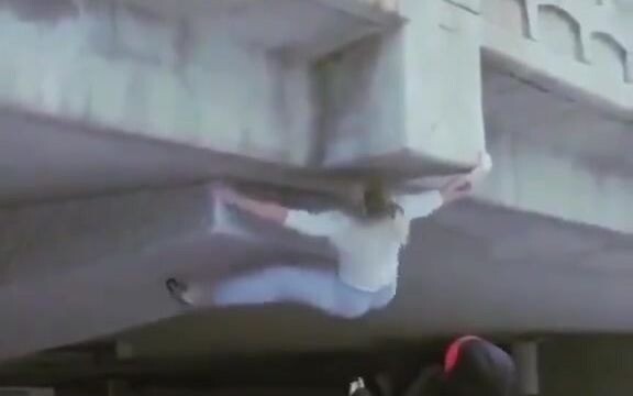 هل يمكنك التسلق هكذا؟ حتى الوزغات ستُعجب.