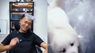 潘宏超绝变脸，网友也是拿捏上潘宏了，最后一位更是现实拿捏！