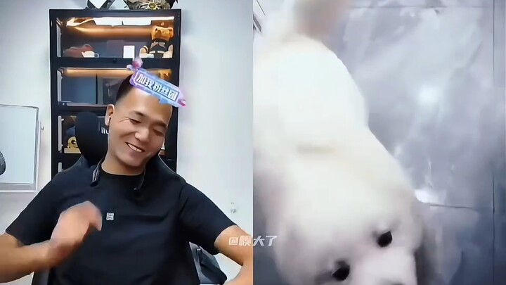 潘宏超绝变脸，网友也是拿捏上潘宏了，最后一位更是现实拿捏！
