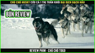 Chú chó Husky cứu cả một thị trấn khỏi đại dịch bạch hầu - REVIEW PHIM : CHÚ CHÓ TOGO || BÚN REVIEW