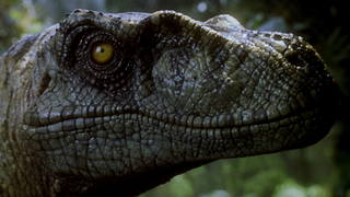 《Jurassic.ParkIII》2001 侏罗纪公园3 迅猛龙片段 高清