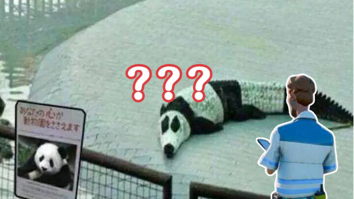 จระเข้: นี่มันเป็นเรื่องที่คนทำกันเหรอ? 【Zoo Tycoon 3】