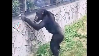 pha ăn bạ cực kì đẳng cấp 🤣