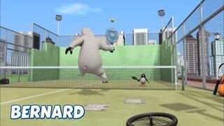 BERNARD BEAR || PADDLE TENNIS - CARTOON CHILDREN