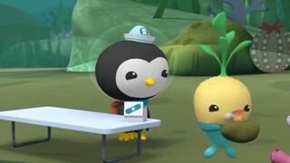 [Octonauts] Làm sao tôi có thể không cười khi xem tập phim này hồi còn nhỏ?
