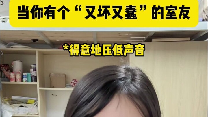 Khi bạn có một người bạn cùng phòng vừa xấu tính lại vừa ngốc nghếch