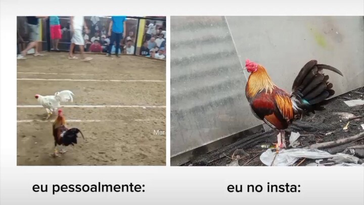 Easy👌👌👌