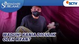 HEBOH! Kania Diculik oleh Ryan | Bidadari Surgamu - Episode 422