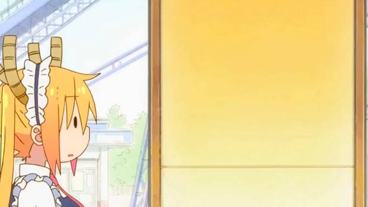 How much Xiaolin likes maids