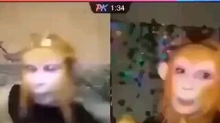 بث مباشر لـ Douyin pk صحيح وخطأ Monkey King