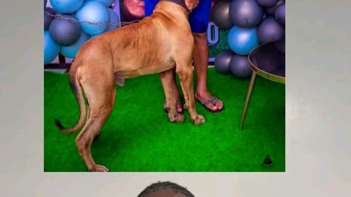 Throwback to when TMT threw a lavish birthday party for his dog “Mylo”