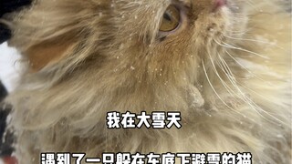 There is love in this world, and that's what makes it truly warm.