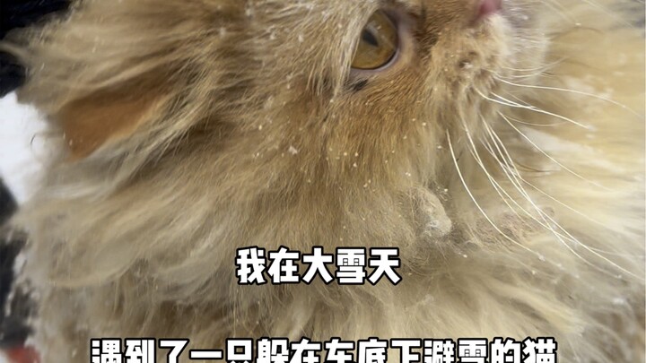 Nhân gian có tình yêu, ấm áp nhất chính là vậy.