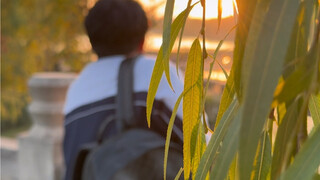 难道我生而平凡吗？