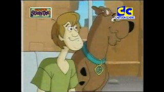 What's new scooby doo ตอน ผีดิบกลาดิเอเตอร์