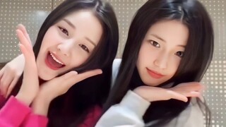 BABYMONSTER PHARITA x RUKA - تحدي رقصة "Flower" لكيم جي سو