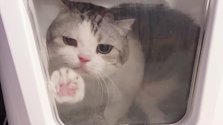 I almost managed to pry open the bathroom door.